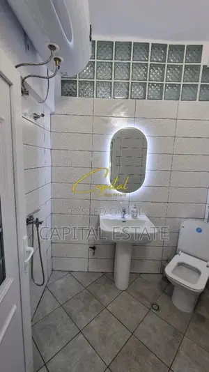 AMBIENT BIZNESI ME QIRA 55 M2 MINE PEZA 80.000 LEKE