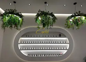 AMBIENT BIZNESI ME QIRA 50 M2 ASTIR 600 EURO