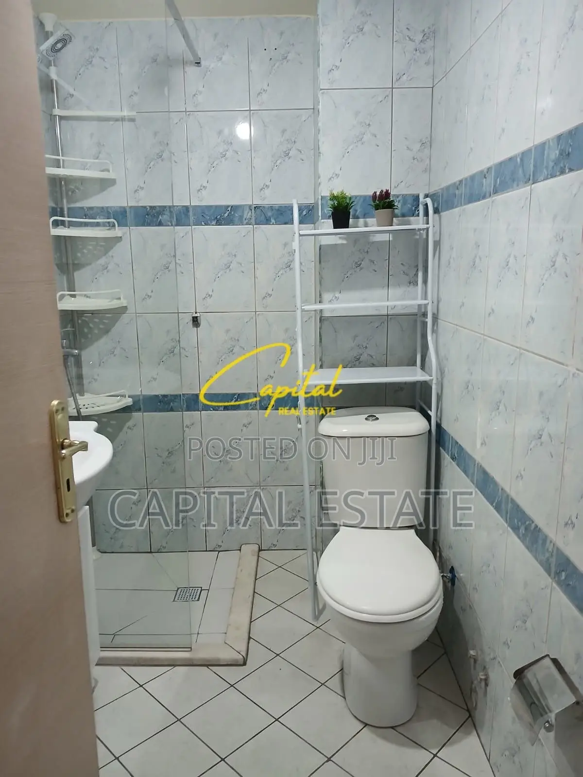 APARTAMENT ME QIRA 2+1 FRESKU 40.000 LEKE