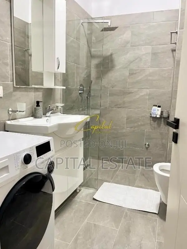 APARTAMENT ME QIRA 1+1 ZOGU I ZI 650 EURO