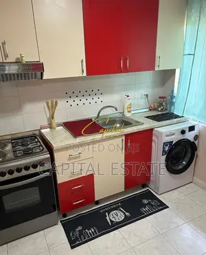 APARTAMENT ME QIRA 1+1 PAZARI I RI 40.000 LEKE