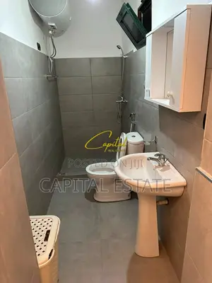 GARSONIERE ME QIRA 45 M2 KOMUNA E PARISIT 400 EURO