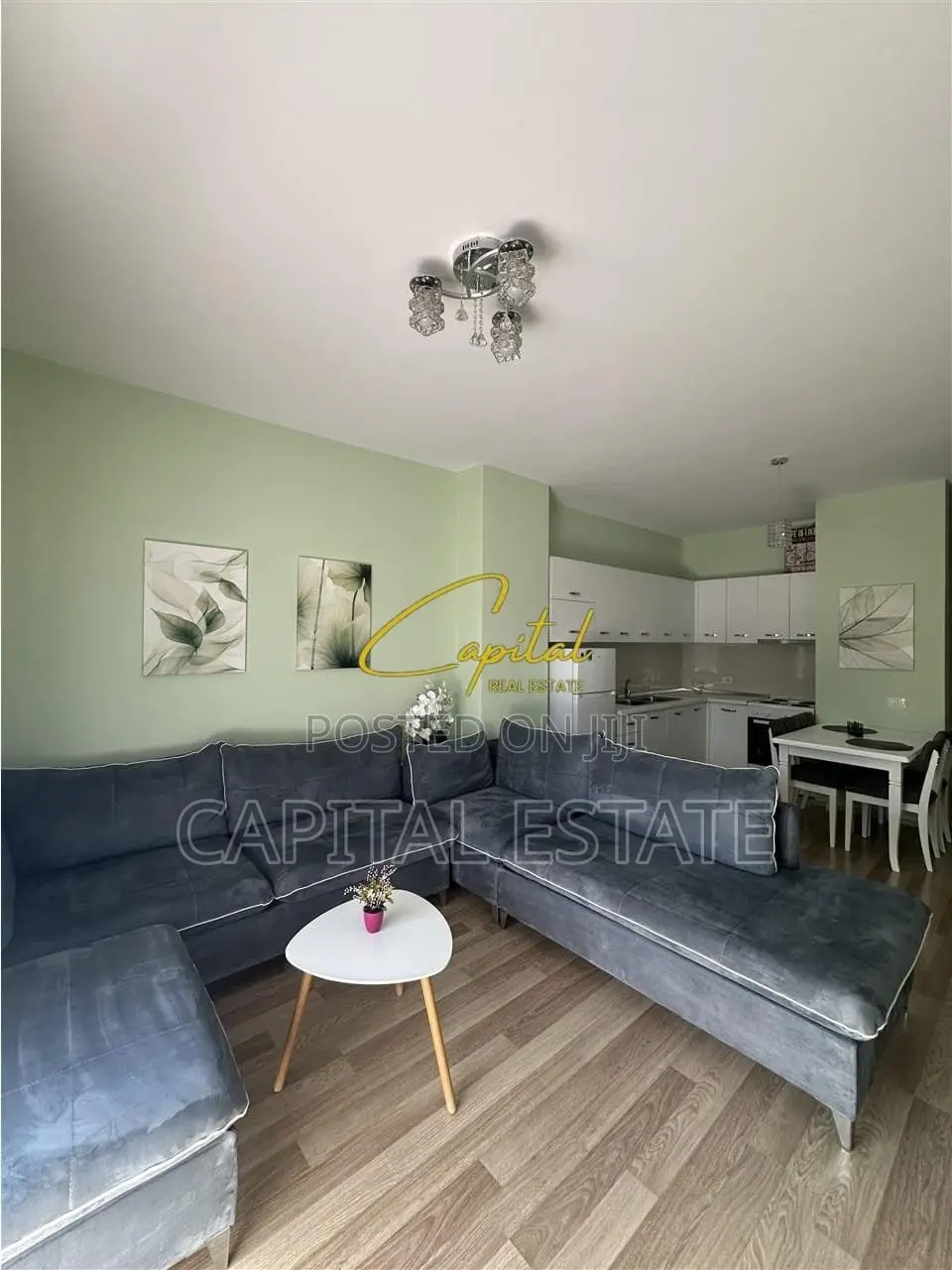APARTAMENT ME QIRA 1+1 QENDER 700 EURO