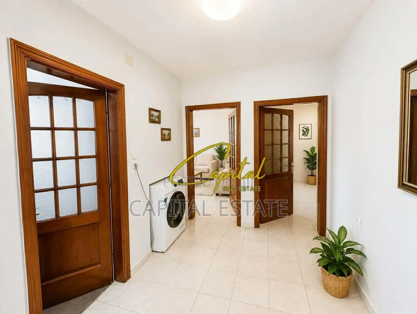 APARTAMENT ME QIRA 2+1 ALI DEMI 50.000 LEKE