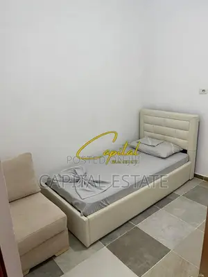 APARTAMENT ME QIRA 2+1 5 MAJI 40.000 LEKE