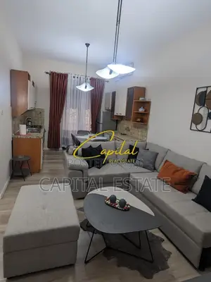APARTAMENT ME QIRA 1+1 VASIL SHANTO 63.000 LEKE