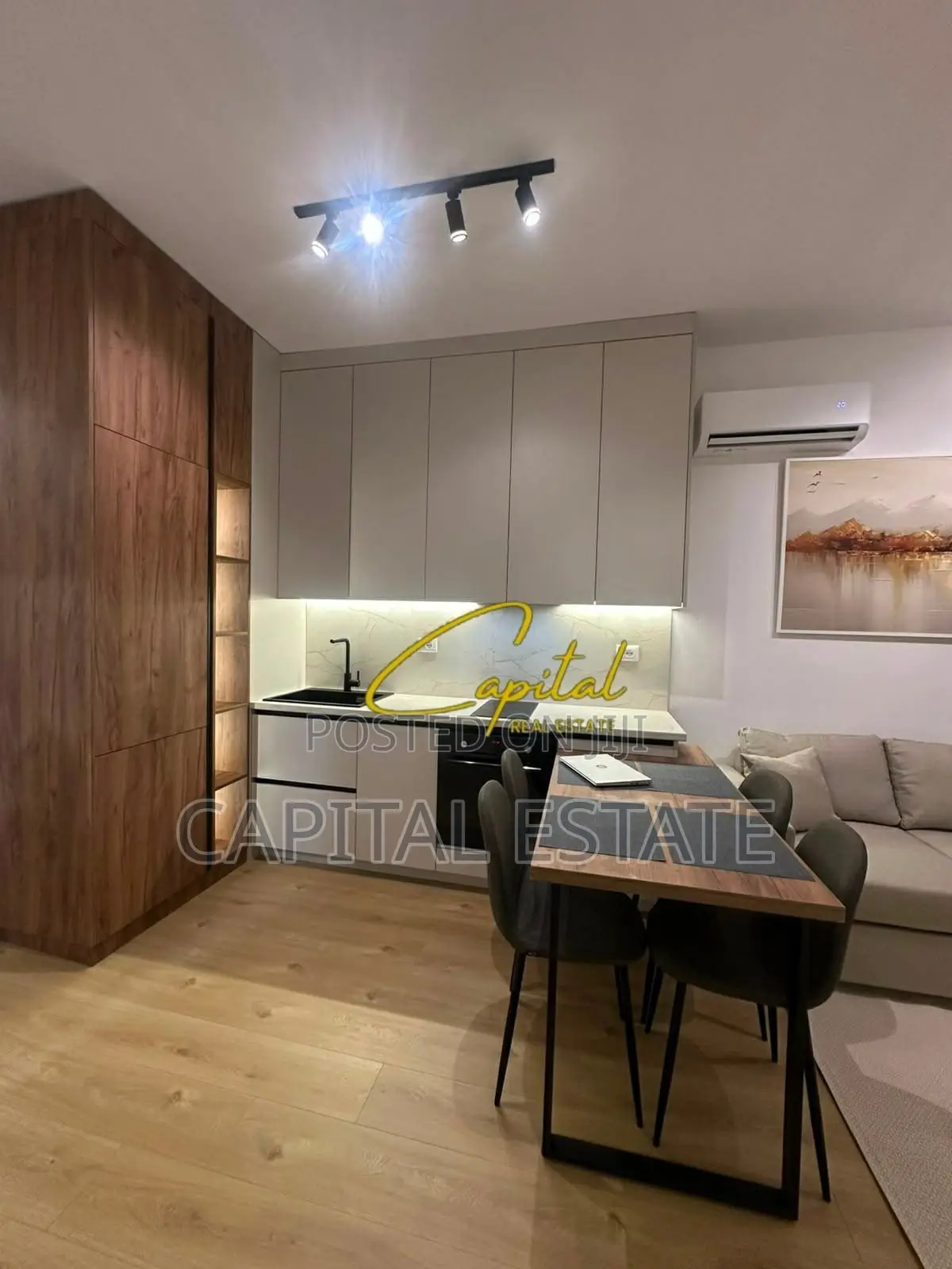 APARTAMENT ME QIRA 1+1 ALI DEMI 450 EURO