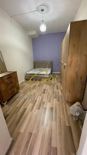 APARTAMENT ME QIRA 3+1 VASIL SHANTO 55.000 LEKE